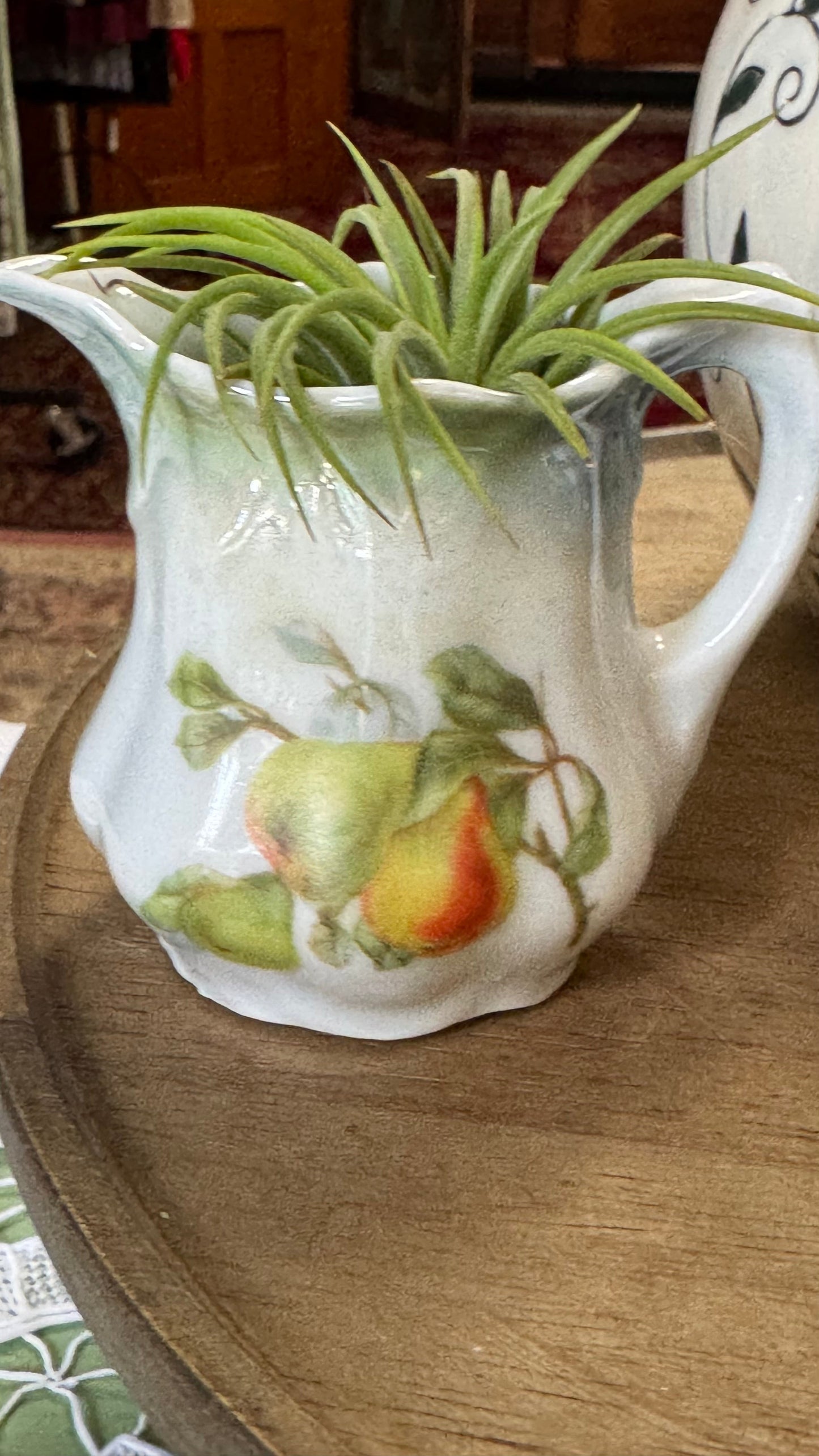 AIR PLANT TINY CERAMIC