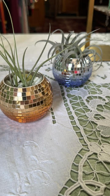 Disco Ball w/ Air Plant